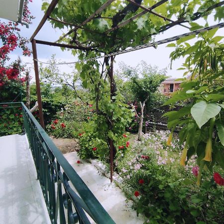 Corfu Countryside Apartment Potamós 外观 照片