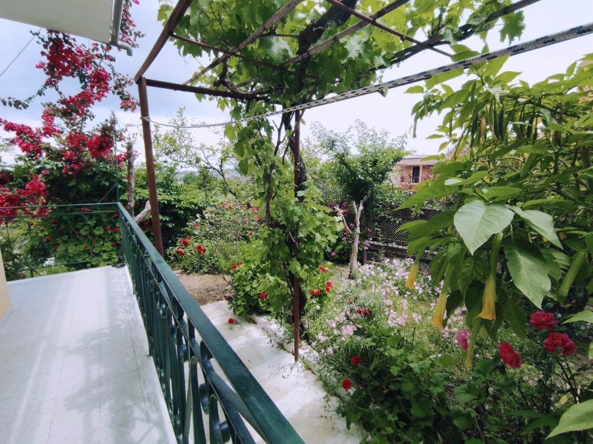 Corfu Countryside Apartment Potamós 外观 照片